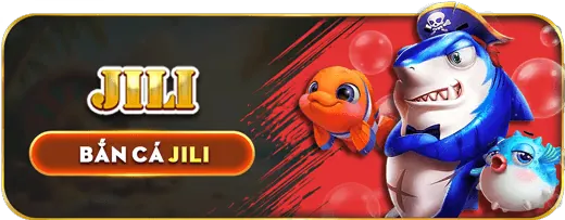 Hỗ trợ quy định và điều khoản Q8BET