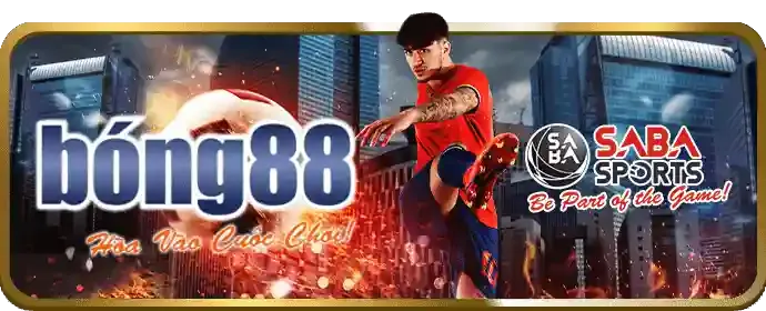 Hoàn Trả Cao Nhất Thị Trường tại Q8BET