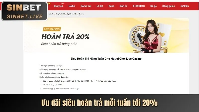 Sứ mệnh và giá trị của Q8BET